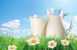 Šta sve treba znati o mleku u ishrani