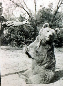 Ko je bio medved Vojtek?
