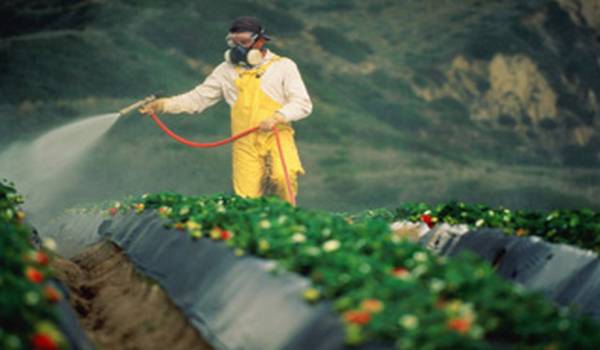Pesticidi u hrani