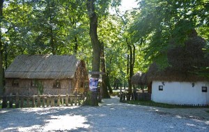 Bojčinska šuma, Surčin – Slike i zanimljivosti popularnog izletišta Beogradjana