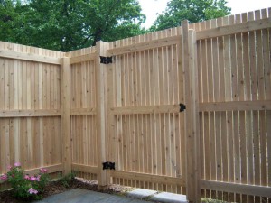 Panelne ograde i kapije za dvorišta