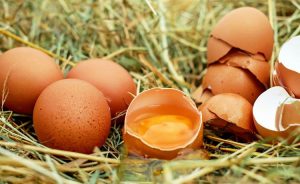 Otkrivamo: Zašto su organska jaja zdravija za nas?